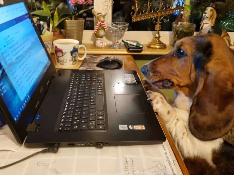 Paulines Nostalgie Blog startet