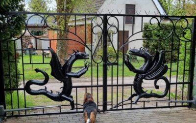 Drachenwächter im Landhaus Annemarie