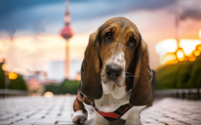 Pauline in Berlin – Sightseeing und Klimakleber