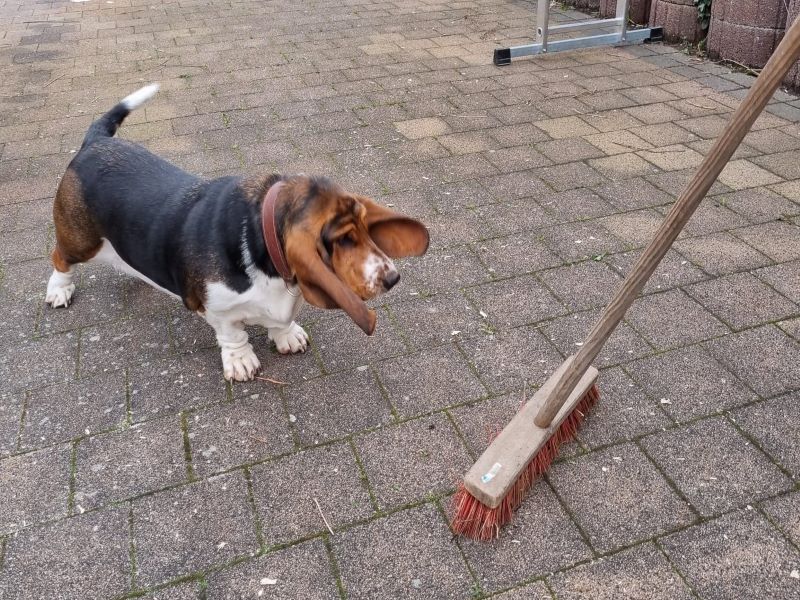 Ein Dach für die Outdoor Küche