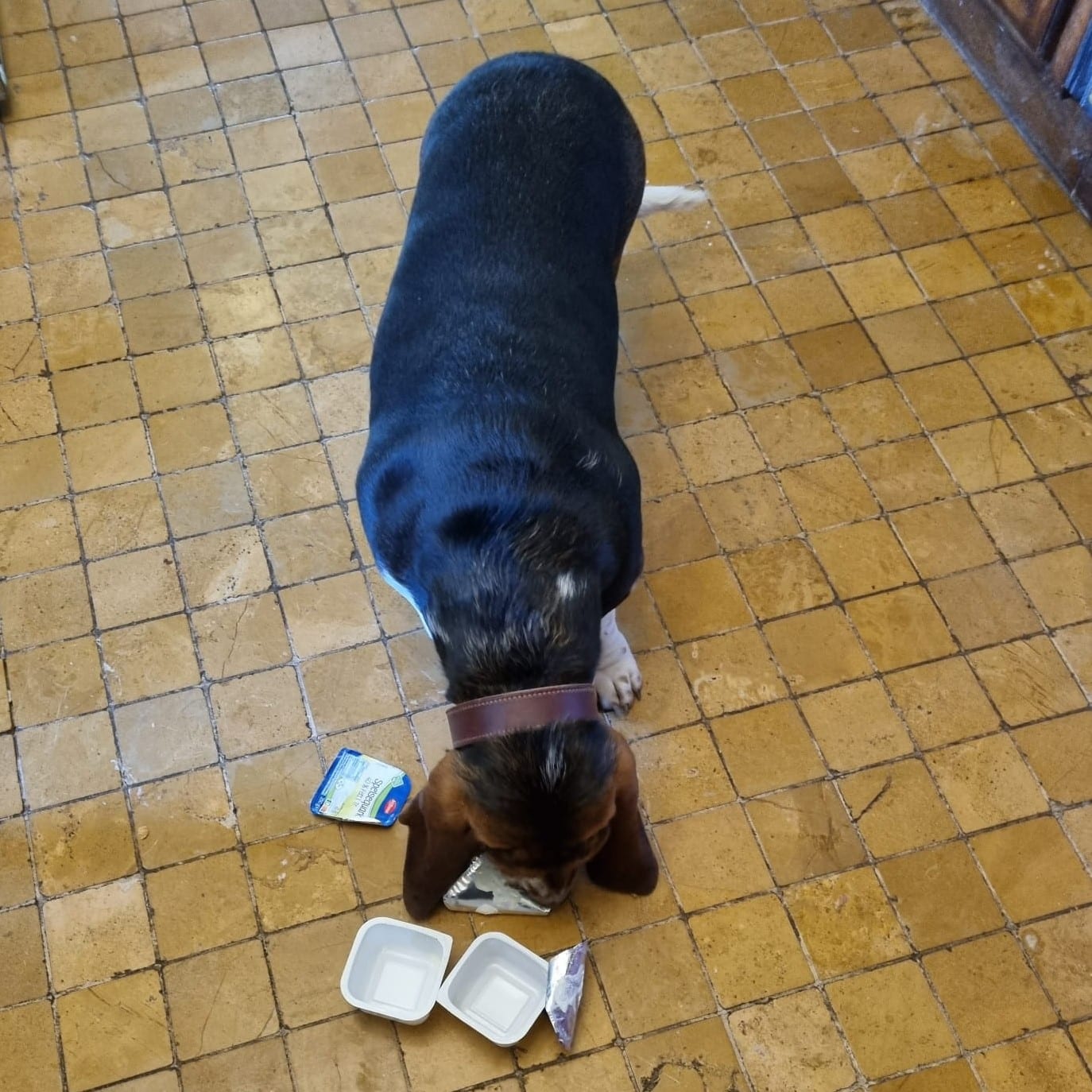 Quarktorte 1 Becher leeren