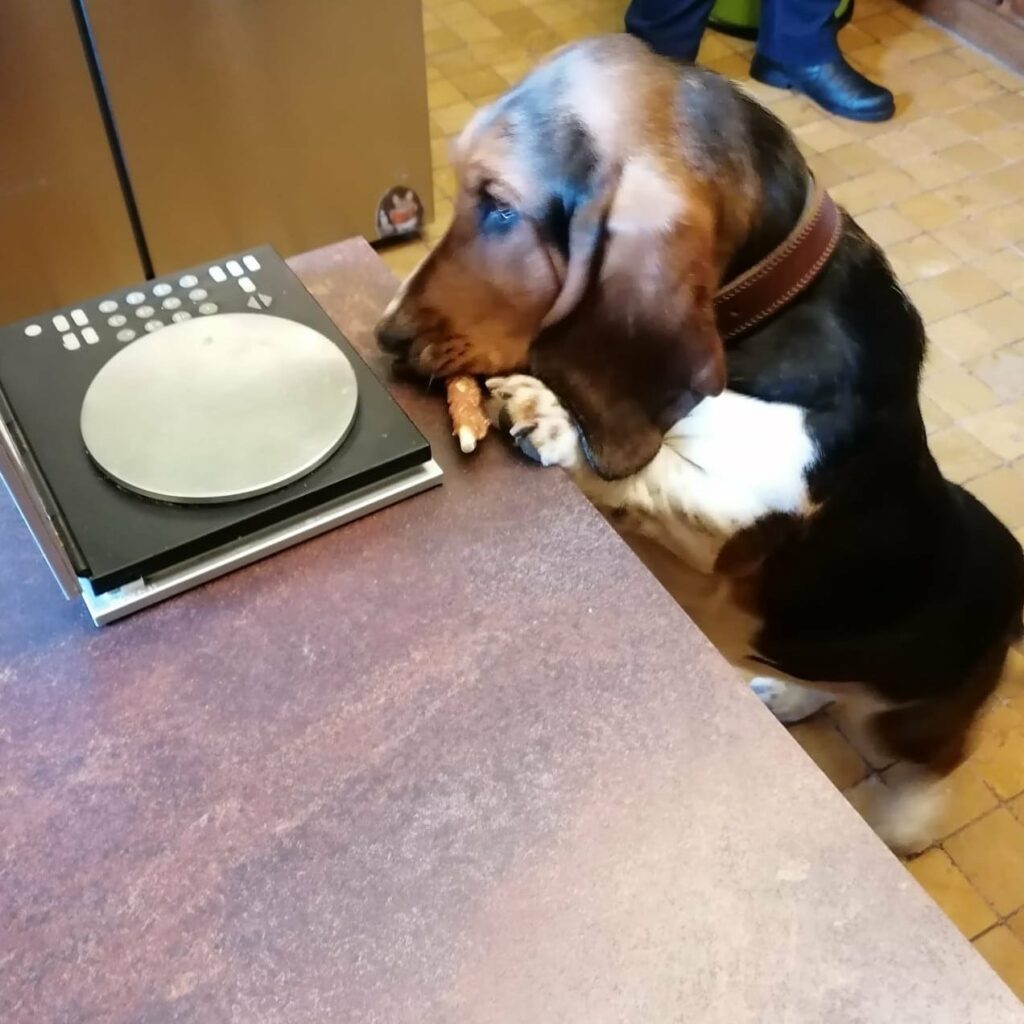 genaues abwiegen ist wichtig für einen leckeren Kuchen