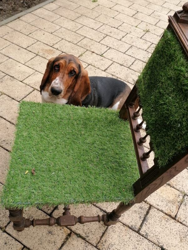 Rasenstuhl im Outdoor Wohnzimmer