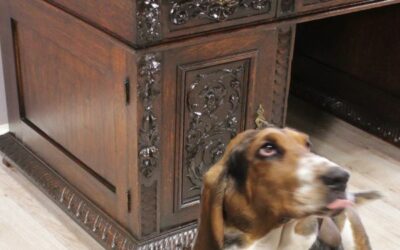 Ein Sturkopf von einem Schreibtisch