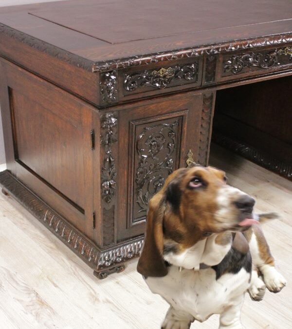 Ein Sturkopf von einem Schreibtisch