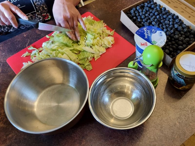 Salat mit Blaubeeren Zutaten