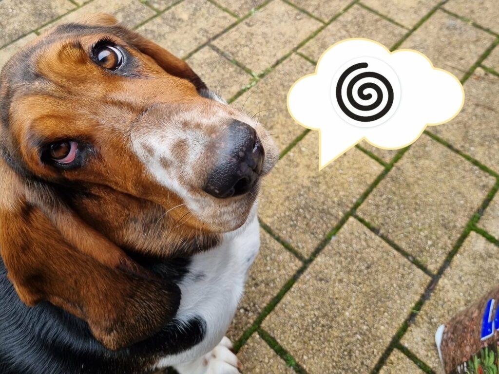 Paulines Blick ist voller Fragezeichen