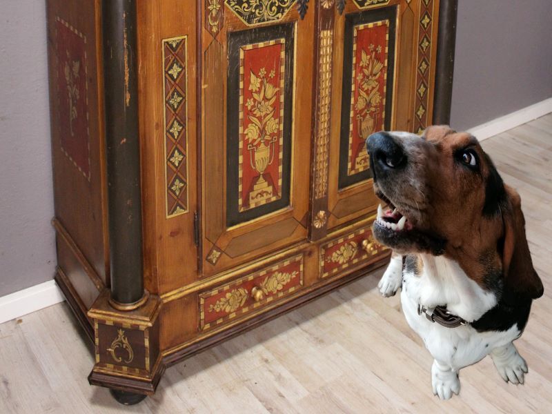 Basset Pauline packt aus: Warum der 200 Jahre alte Schrank nervt