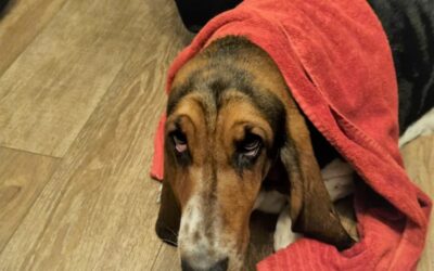 Männertag: auf die Plätze, fertig, Prost