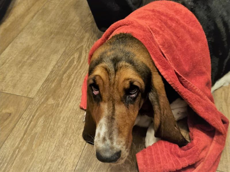 Männertag: auf die Plätze, fertig, Prost