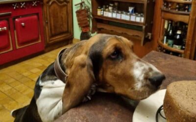 Wau! Dieses Brot ist so lecker – nur Steak wäre noch besser!