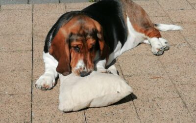 Upcycling Deluxe: So machst du aus alten Stoffen stylische Kissenbezüge