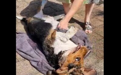 Von Relaxen keine Spur: Paulines aufregende Beautywoche