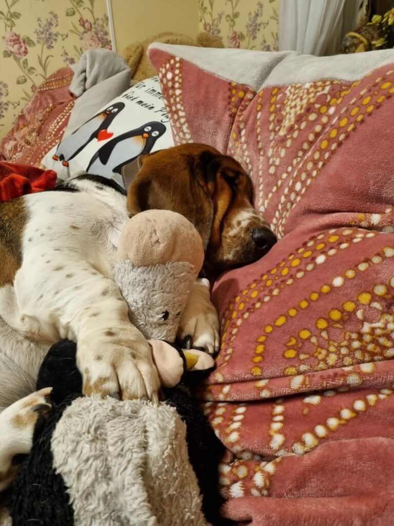 Pauline und das Federvieh