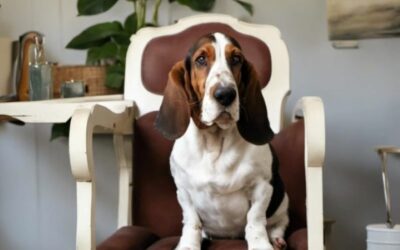 Upcycling: Was ist das denn ?